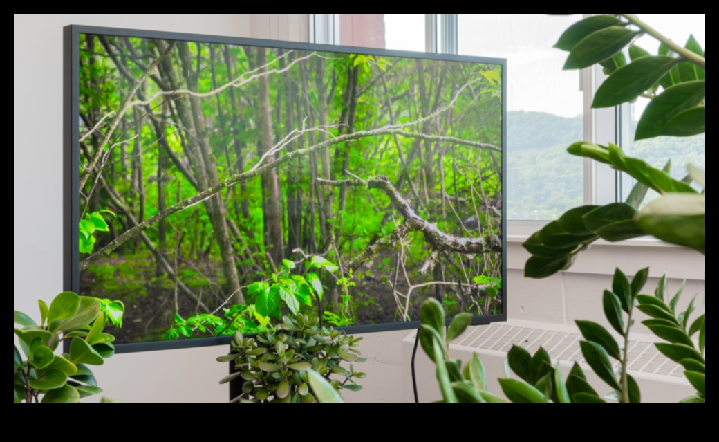 Vizuālā terapija: televizori ar relaksējošām apkārtējās vides ainām un dabas displejiem