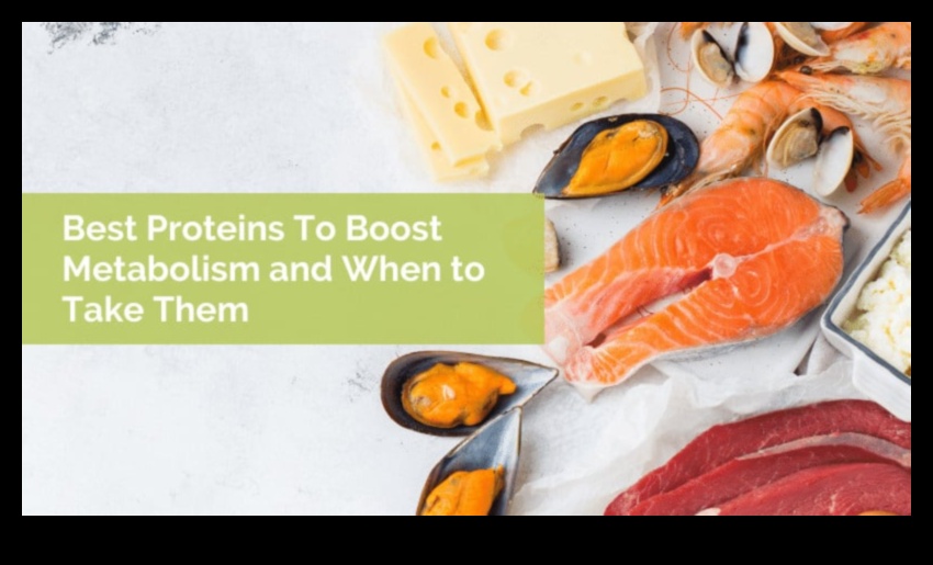 Augsta proteīna diētu ietekme uz vielmaiņu