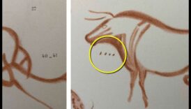 Akmens mākslas mīklas: simbolu atšifrēšana aizvēsturiskos petroglifos