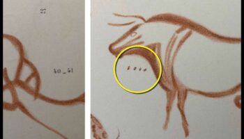 Akmens mākslas mīklas: simbolu atšifrēšana aizvēsturiskos petroglifos