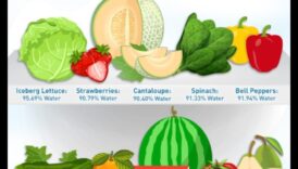 Ūdens salīdzinājumā ar dzērieniem: kādam jābūt jūsu primārajam hidratācijas avotam?