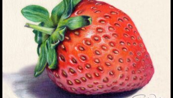 Kontrasta skaistums: veidojiet pārsteidzošas ainas ar krāsainiem zīmuļiem